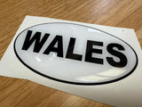 Country Oval Resin Domed Badges 100x60mm