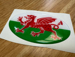 Country Oval Resin Domed Badges 100x60mm