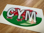 Country Oval Resin Domed Badges 100x60mm
