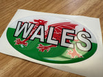 Country Oval Resin Domed Badges 100x60mm