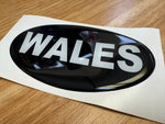 Country Oval Resin Domed Badges 100x60mm